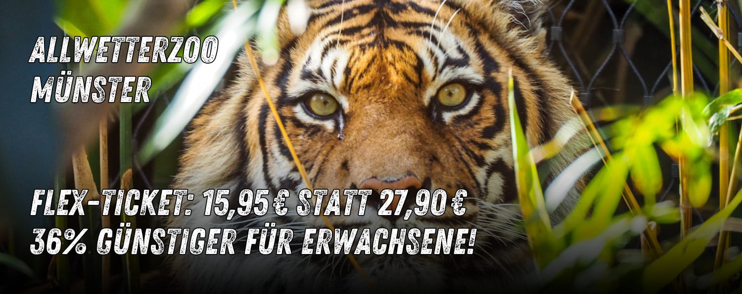 Allwetterzoo Muenster Flex-Ticket - Banner mit einem Löwen drauf