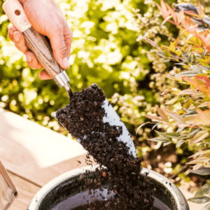 🌺 Frühlingserwachen für eure Pflanzen – Produkte von Restberry's (Indoor-Erde, Bio-Dünger, Handschaufel uvm.) im Sale + 10% Extra-Rabatt
