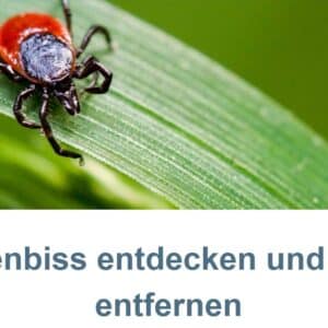 🕷Zum entfernen von Zecken gibt es die Zeckenkarte gratis in der Schweiz und Liechtenstein