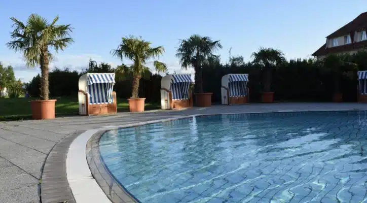 Pool und Palmen