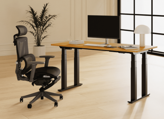 Flexispot Flaggschiff-Produktaktion