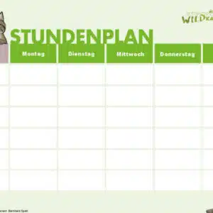 🐈 KOSTENLOS: Wildkatzen-Stundenplan für die Schule vom BUND!