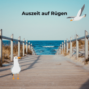 Ab auf die Insel 🏝️ 3 Tage auf Rügen ins 4-Sterne-Hotel inkl. tägl. Frühstück und 1x Dinner ab 119€ pro Person