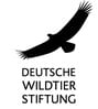 Dt. Wildtierstiftung: div. Poster u. Ausmalbilder gratis anfordern