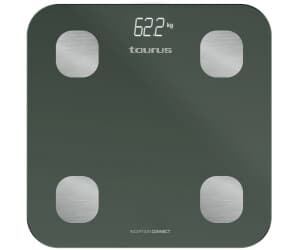 Taurus Inception Connect