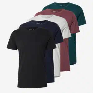 5x HOLLISTER T-Shirt in Größe XS-XL für 48,93€(statt 64,95€)
