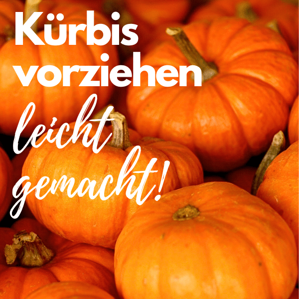 Kürbis vorziehen - so funktioniert's! 🌞
