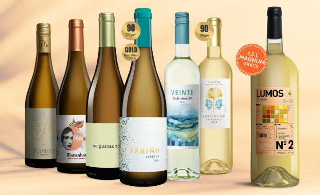 Vinos Sommer Blanco Paket