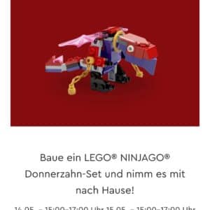 14.&#043;15.5. Lego Store Event