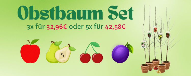slider_groupon
