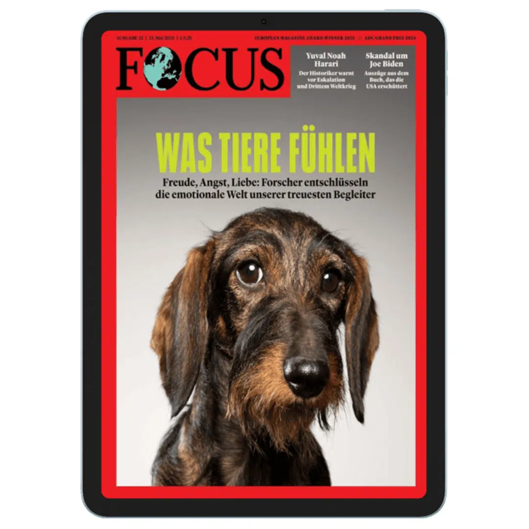 Thumbnail Focus E-Paper Jahresabo für 5€