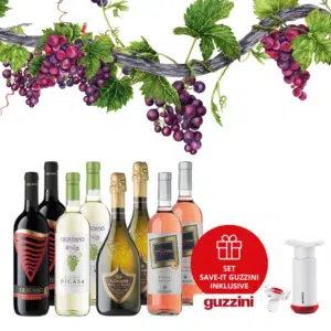 🍷 8 gemischte Weine inkl. Vakuum-Set "SAVE-IT" von Guzzini nur 35,90€