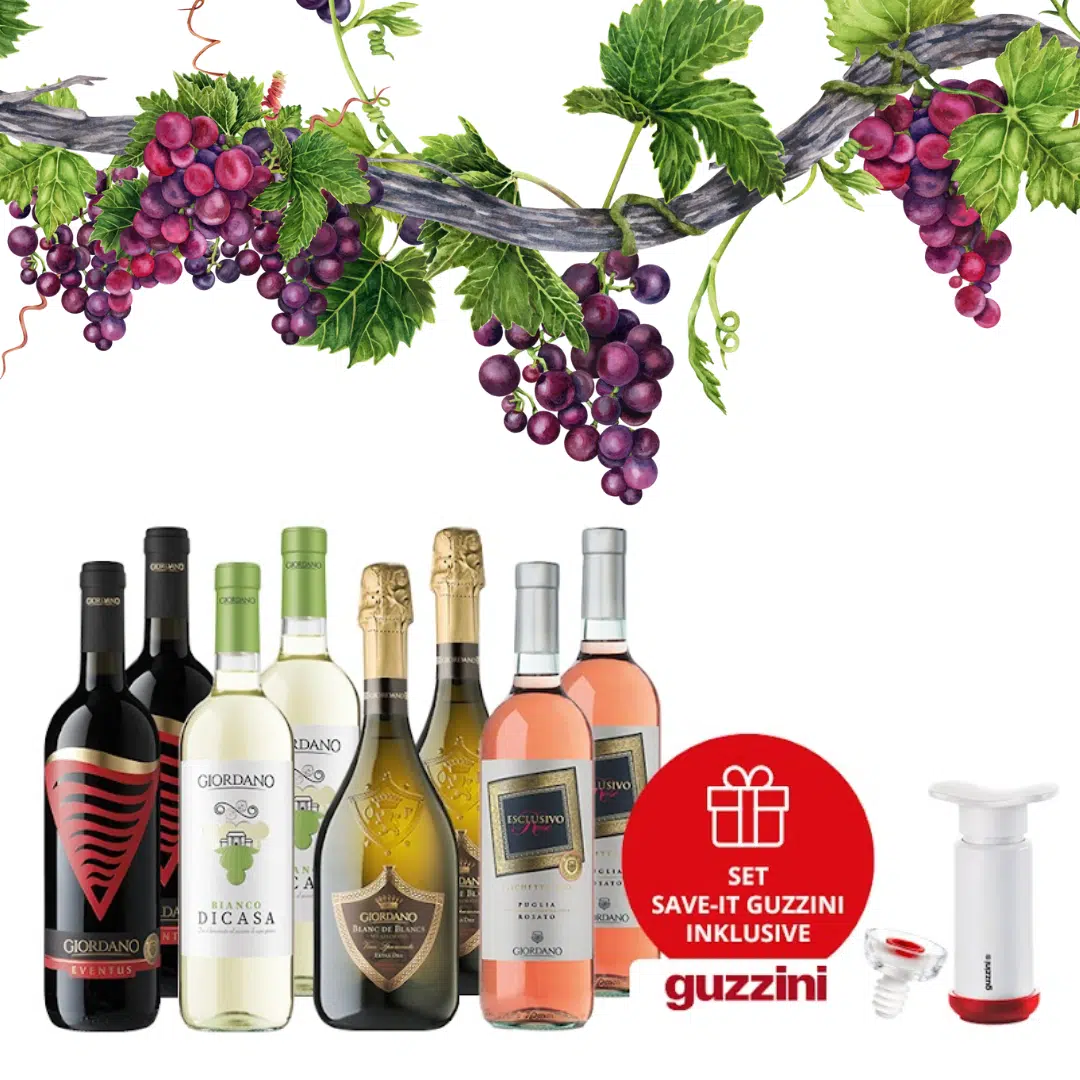 Thumbnail 🍷 8 gemischte Weine inkl. Vakuum-Set "SAVE-IT" von Guzzini nur 35,90€