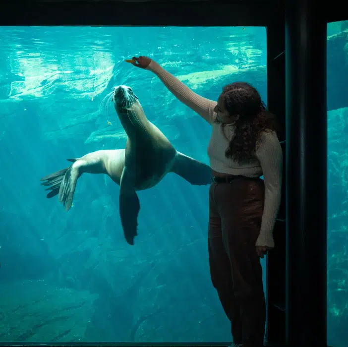 Thumbnail 🐠 Eintritt ins Nausicaá Aquarium inkl. 1 ÜN im Premium Hotel ab 89€ p.P.