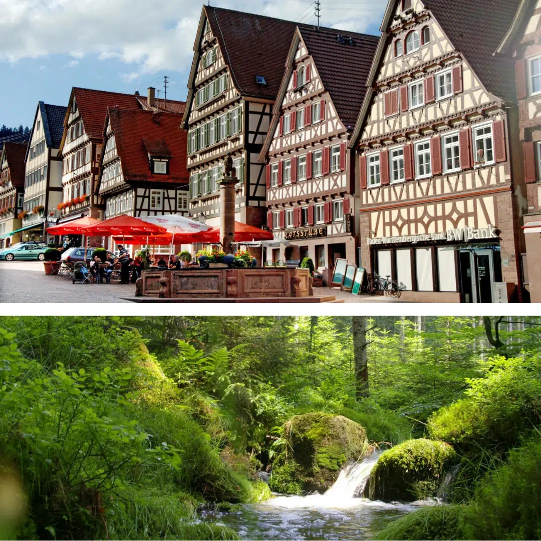 Thumbnail 🌳 Schwarzwald-Sonnenhof 2 ÜN mit  ¾ Verwöhnpension inkl. Saunalandschaft & Freizeiteinrichtung des Hotels, ab 159€ p.P.