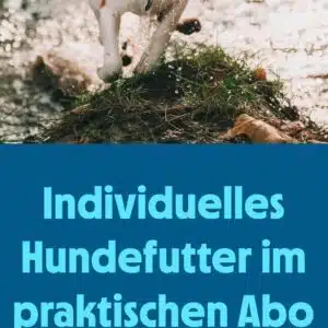 Hundefutter 2 Wochen gratis testen (Kündigung erforderlich)