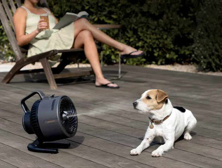 Hund lässt sich vom Shark Flex Breeze HydroGo Ventilator mit Sprühnebel abkühlen.