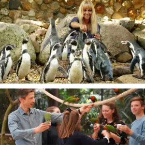 🦜 Tageskarte für den Weltvogelpark Walsrode für 19,90€ (statt 30€)