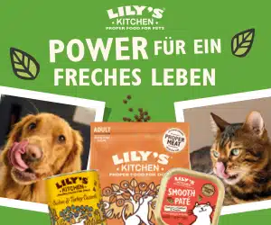 Thumbnail 🐶 🐈 Lily's Kitchen: Hochwertiges Futter für Hund und Katze