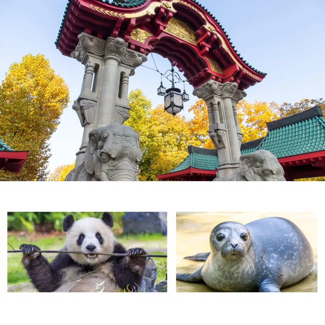 Thumbnail nur 49€ 🐼 Zoo & Frühstück mit Übernachtung in Berlin für weniger als ein Burger-Menü mit Freunden 😱