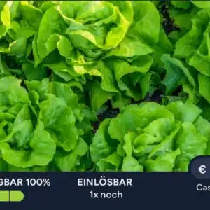 40 Cent Cashback auf Kopfsalat bei Marktguru