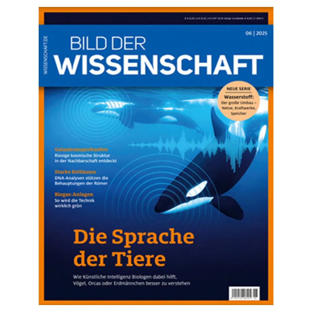 Thumbnail 🧑‍🔬 Bild der Wissenschaft 2 Ausgaben kostenlos