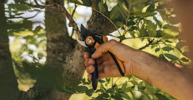 Bypass-Gartenschere Fiskars Plus SmartFit P541