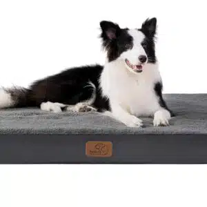 BEDSURE orthopädisches Hundebett für Grosse Hunde - 112x81x7.6cm