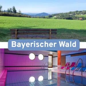 Bayerischer_Wald
