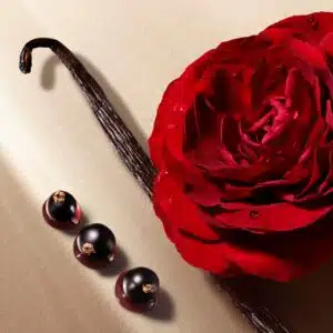 EEDAF22622F2C47ABB6DA0778915FA8F