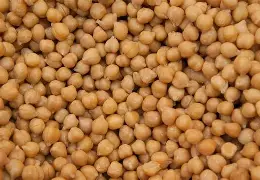 Kichererbsen