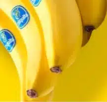 f7670d540c61c517b869413c45817aee3f0584ee6db06a97f13e2e3cc8faeb09