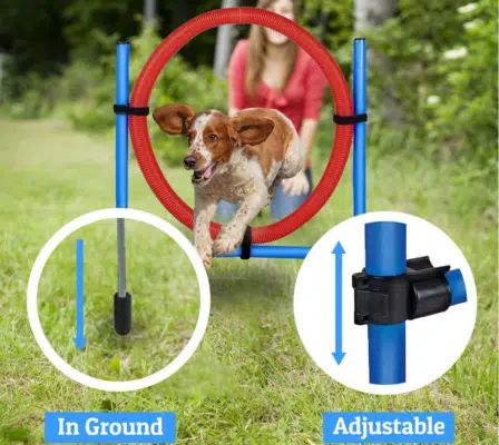 maxxpro Agility Spring Ring Set für Hunde