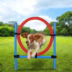 maxxpro_Agility_Spring_Ring_Set_Beitragsbild