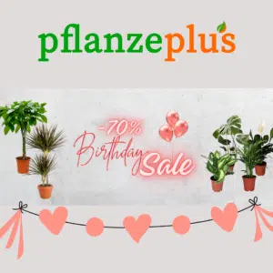 pflanzeplus