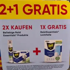 raid