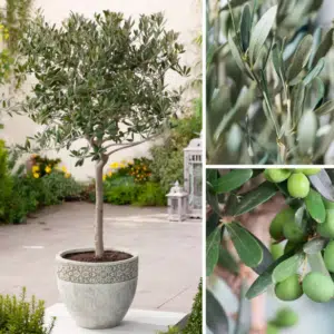 2026-03-24_08_52_13-Greenshot