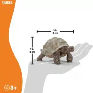 61gFVVYlNyL._AC_SL1500_