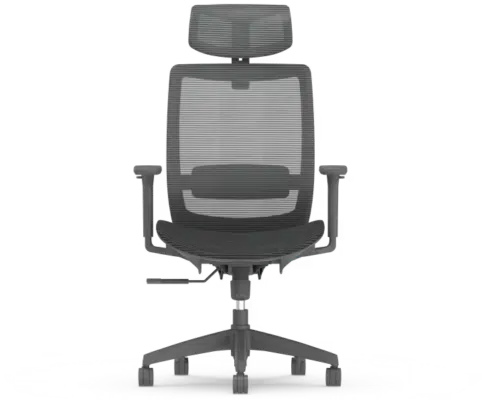 Ergonomischer Vollnetz-Bürostuhl FlexiSpot BS4