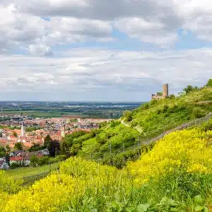 Blick von einem Hügel auf Schriesheim, hinten eine Burg