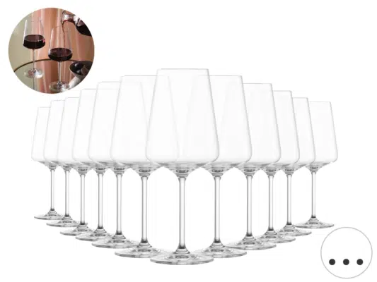 12x Schott Zwiesel Passionata Rotwein Gläser-Set