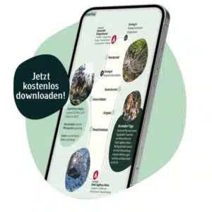 14256_KP_Bewerbung_Wanderguide_1080x1080_02-1 14256_KP_Bewerbung_Wanderguide_1080x1080_02-1