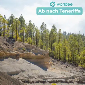 Thumbnail ☀️ 8 Tage Teneriffa-Rundreise ab 407€ p.P. 🌋 Vulkane, Strände &amp; authentische Inselmomente