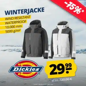 Thumbnail 🌧️ Dickies Waterproof 10000mm 5000g/m² Winterjacke für 29,99€