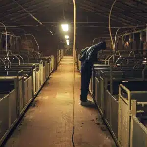 Screenshot from the movie "Eating the Future"