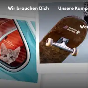 Bildschirmfoto_8-11-2025_91953_www.jetzt-katzen-helfen.de