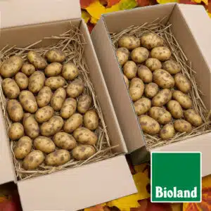 Bioland-Kartoffel-Annabelle_Herbst