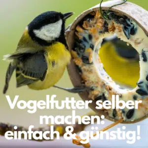 Vogelfutter selber machen: Vogel an einem Futterkranz im Winter