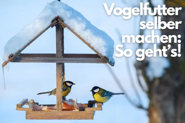 Vogelfutter selber machen: eine Futterstelle im Winter, besucht von Vögeln