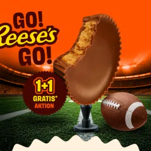 aefe1f7afc648fea80f4ba2c0d0f74f9